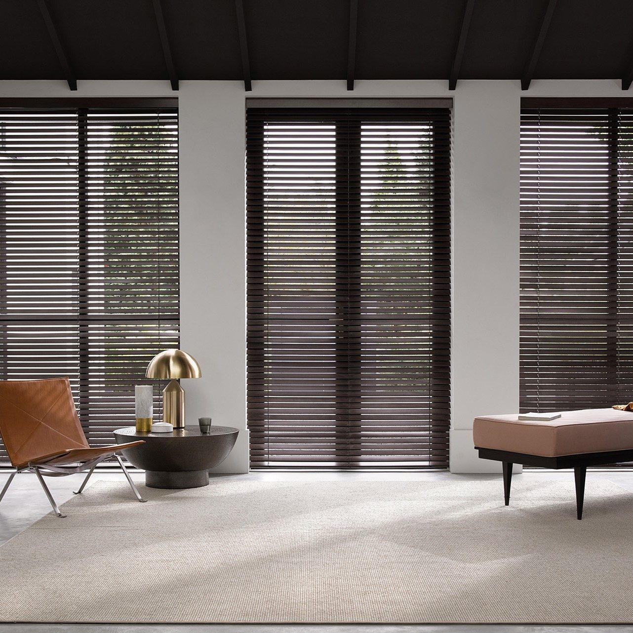 venetian blinds timber in tall windows